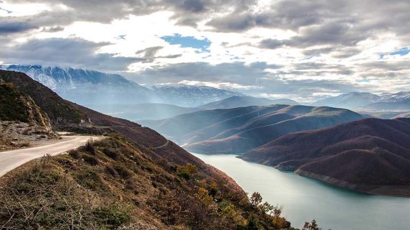 Betrout ve bahis dünyası
