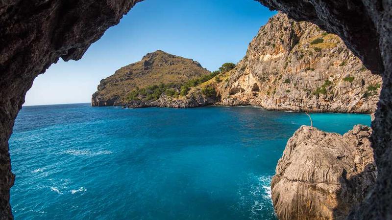 Bahis ve Kazanma